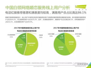 2017年中國網(wǎng)絡(luò)婚戀服務(wù)市場(chǎng)研究報(bào)告簡版