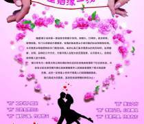 家政服務(wù),婚姻介紹,保潔服務(wù)外包,母嬰用品零售,健 .