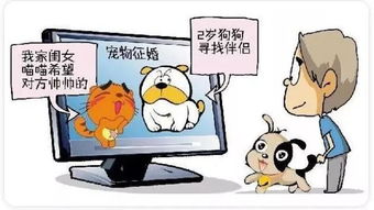 專業(yè)解讀 寵物養(yǎng)護(hù)與馴導(dǎo)專業(yè)