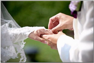 terry.l photography 提供婚禮攝影,產(chǎn)品攝影,婚紗外影等服務(wù)