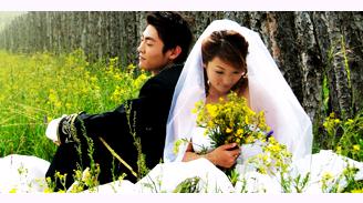 泰山百合婚姻介紹所