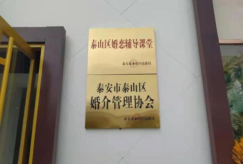 泰山區(qū)全面深化婚介機構(gòu)改革